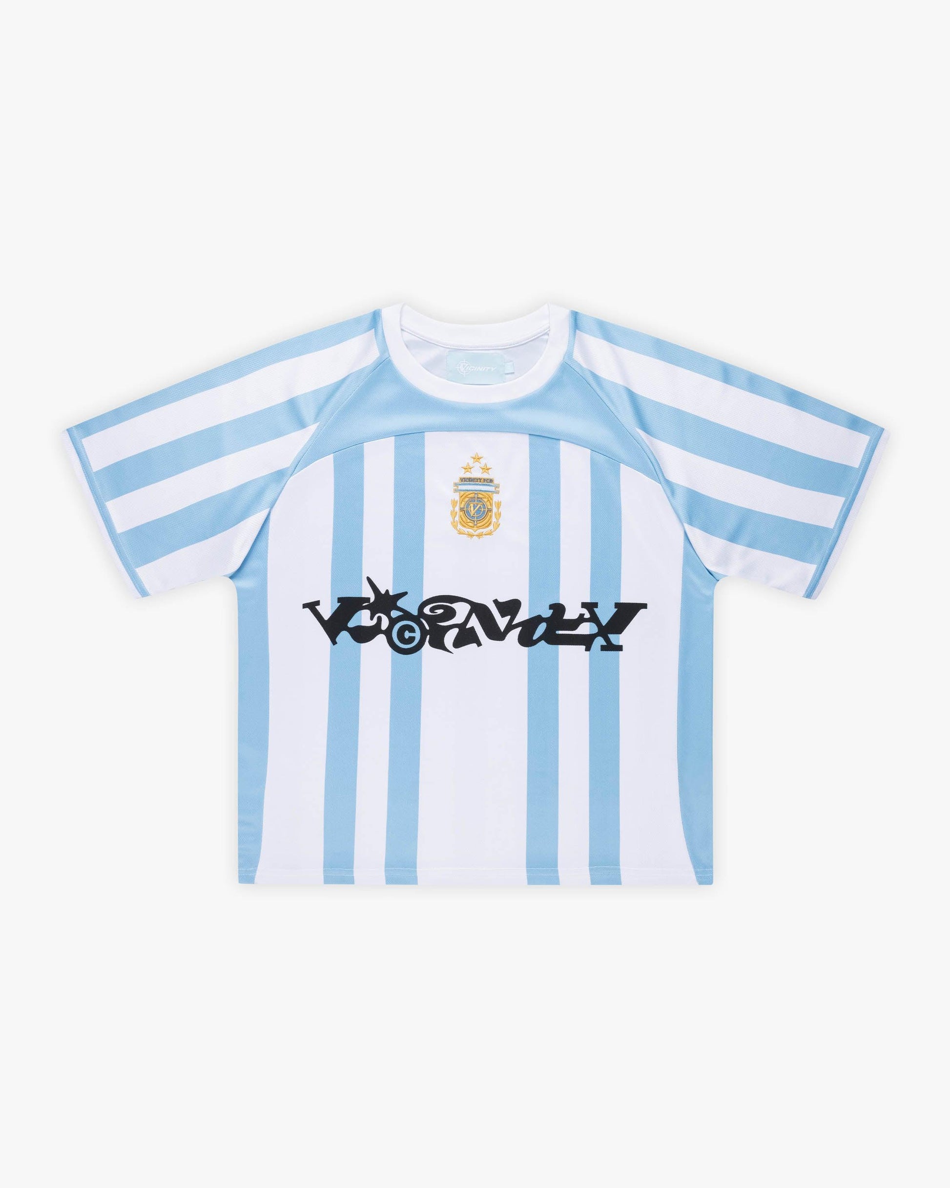 ARGENTINA JERSEY - VICINITY